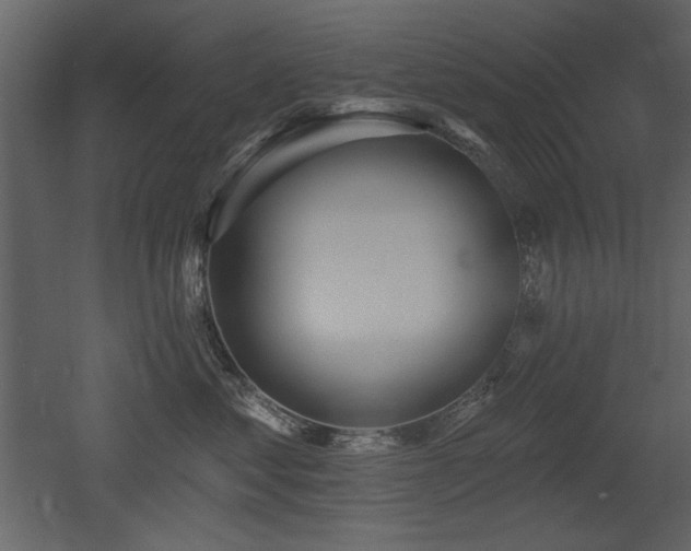 X0000052980621200507081124