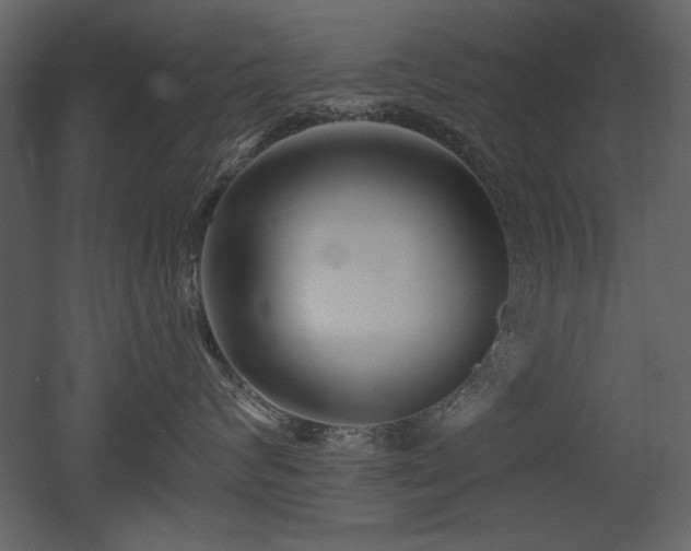 X0000052980624200507081124