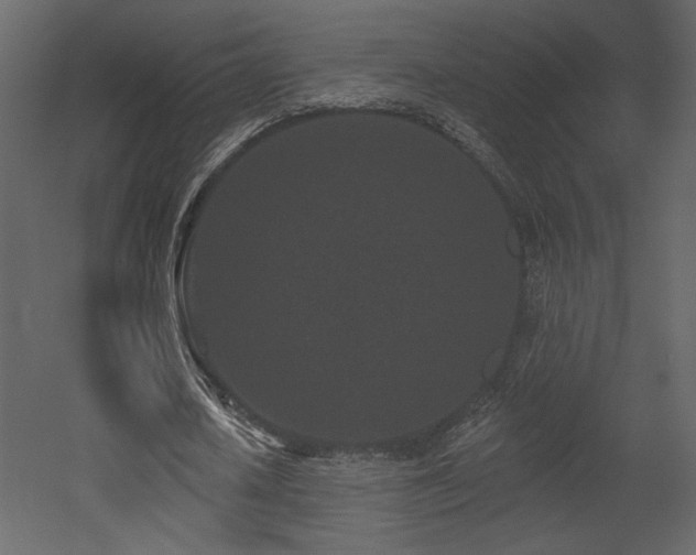 X0000052980626200507081123