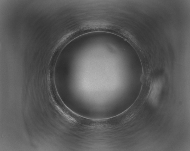 X0000052980629200507081123