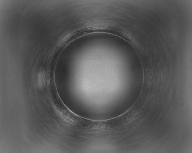 X0000052980631200507081123
