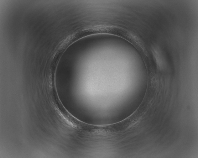 X0000052980633200507081124