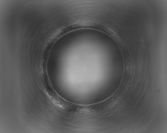 X0000052980635200507081124