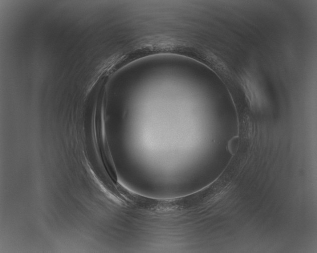 X0000052980638200507081124