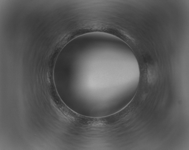 X0000052980643200507081124