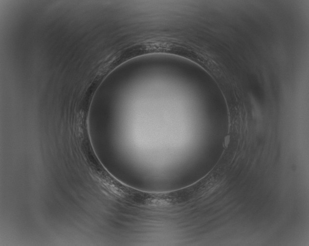 X0000052980649200507081124
