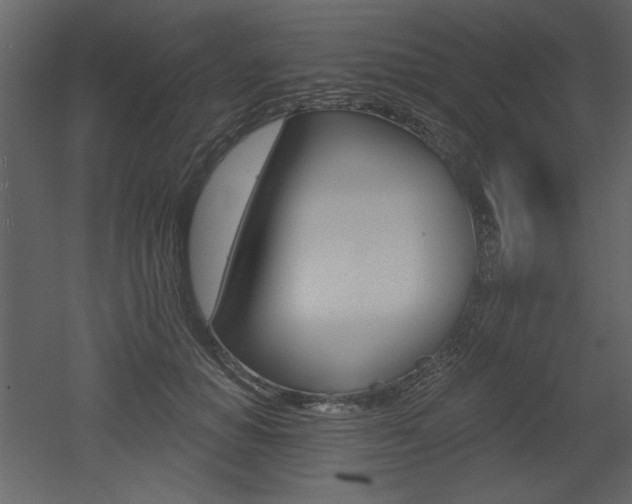X0000052980654200507081124