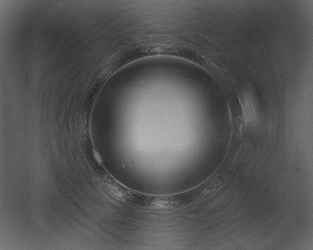 X0000052980657200507081124