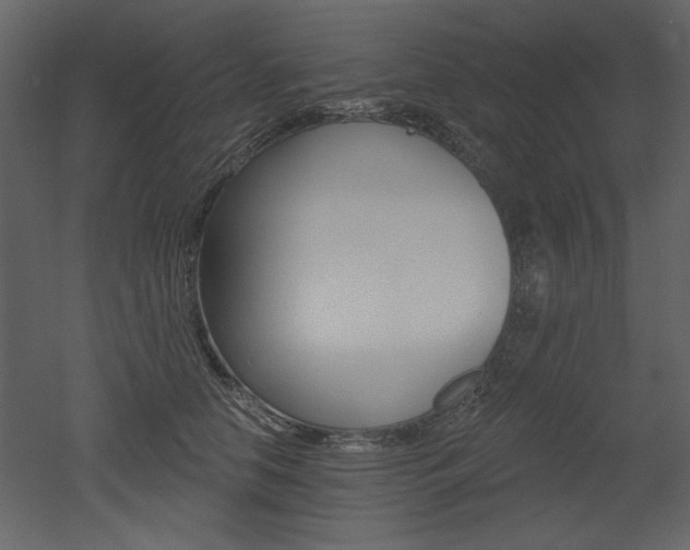 X0000052980658200507081124