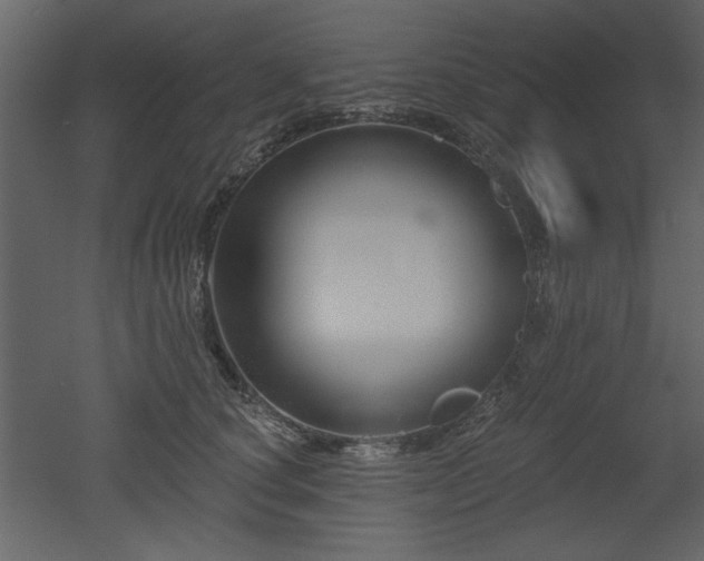 X0000052980660200507081124