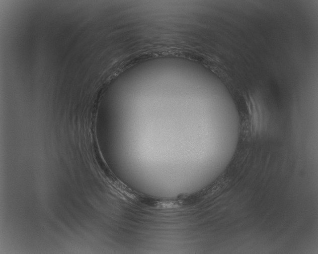X0000052980662200507081124