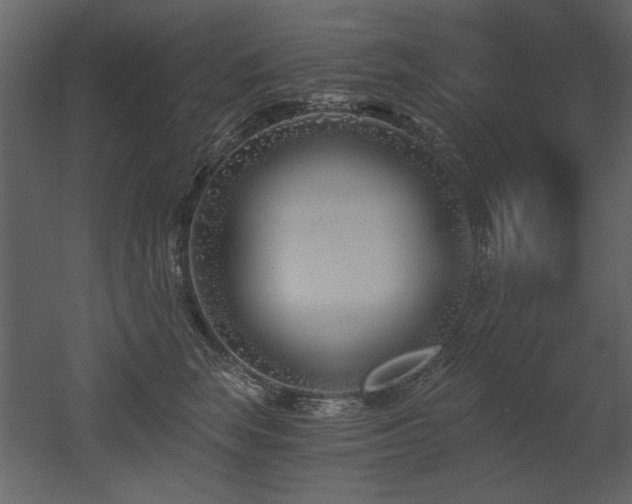 X0000052980663200507081124