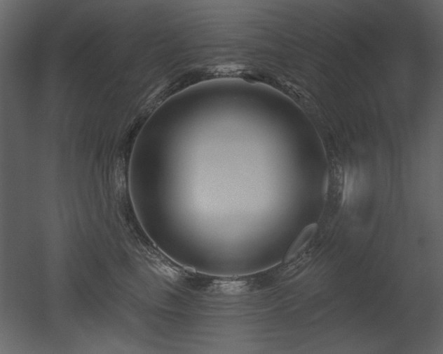 X0000052980665200507081124