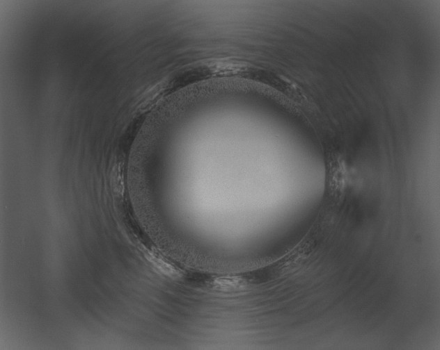 X0000052980666200507081124