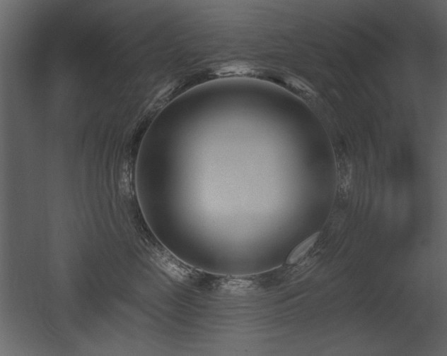 X0000052980669200507081124