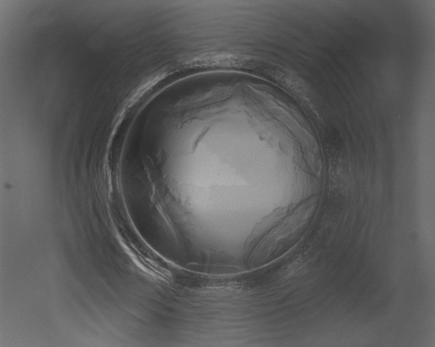 X0000052980674200507081123