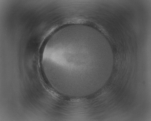 X0000052980679200507081123