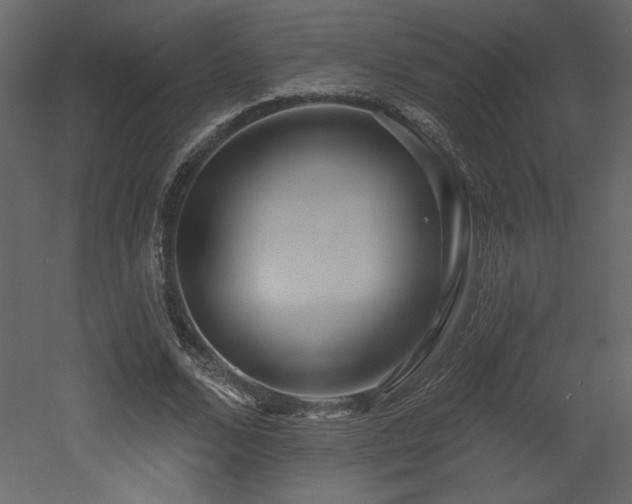 X0000052980680200507081123