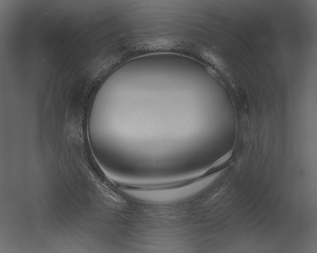 X0000052980681200507081123