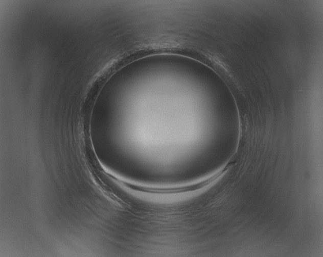 X0000052980684200507081123