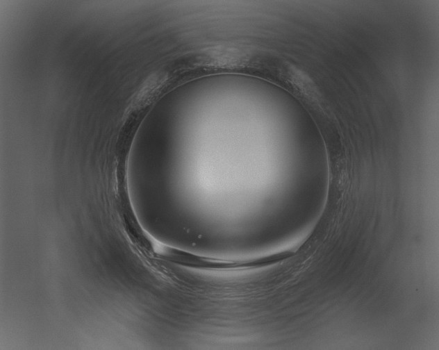 X0000052980685200507081123