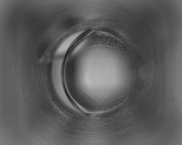 X0000052980687200507081123