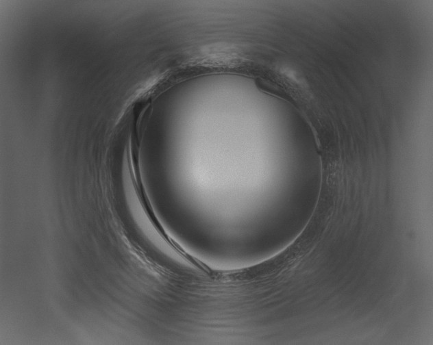 X0000052980688200507081123