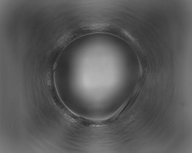 X0000052980689200507081123