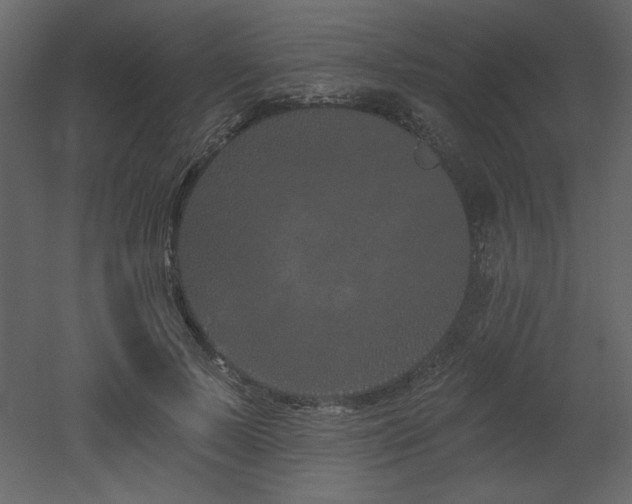 X0000052980695200507081123