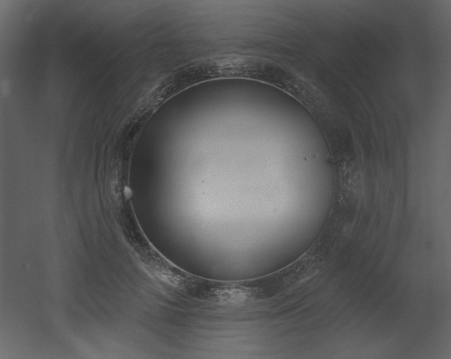 X0000052980698200507081123