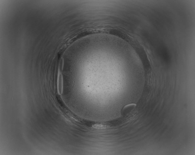 X0000052980699200507081123