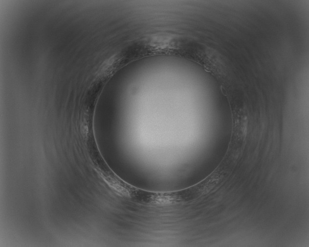 X0000052980710200507081123