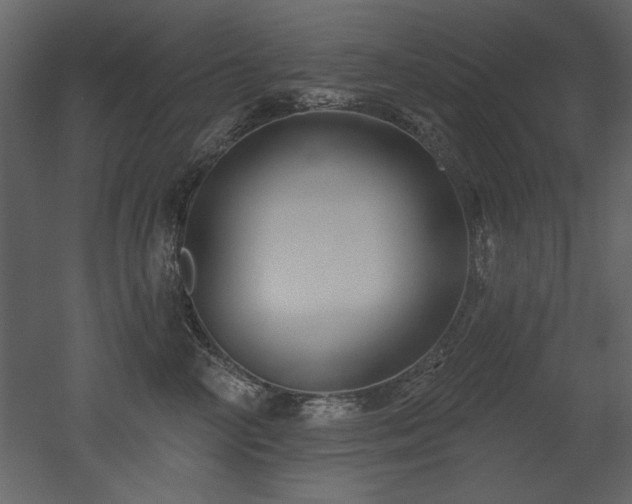 X0000052980714200507081123