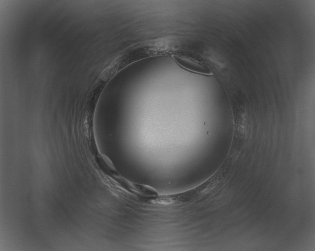 X0000052980715200507081123