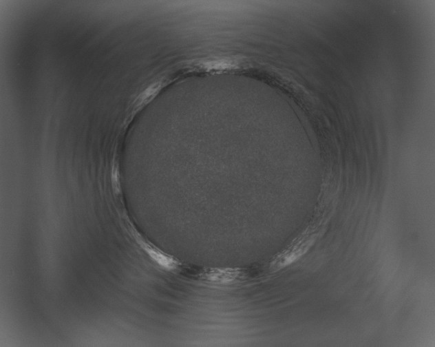 X0000052980720200507081123