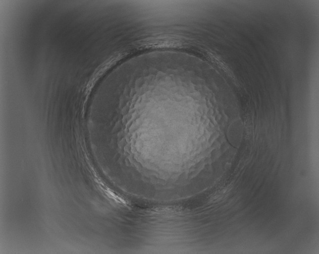 X0000052980721200507081122