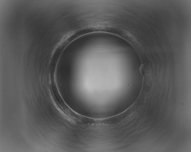 X0000052980734200507081122