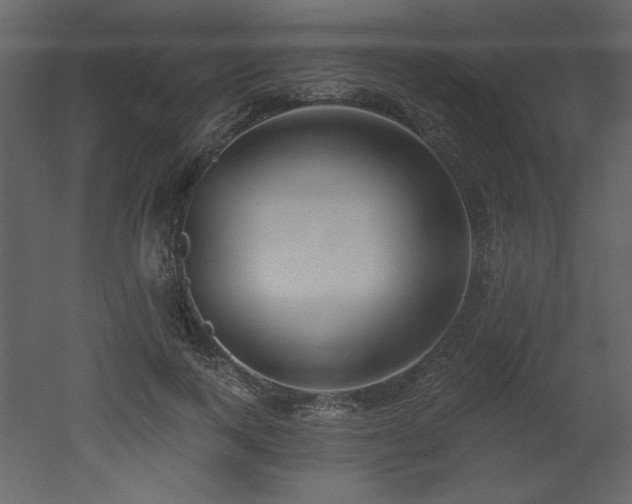 X0000052980743200507081122