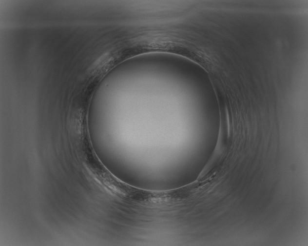 X0000052980744200507081122
