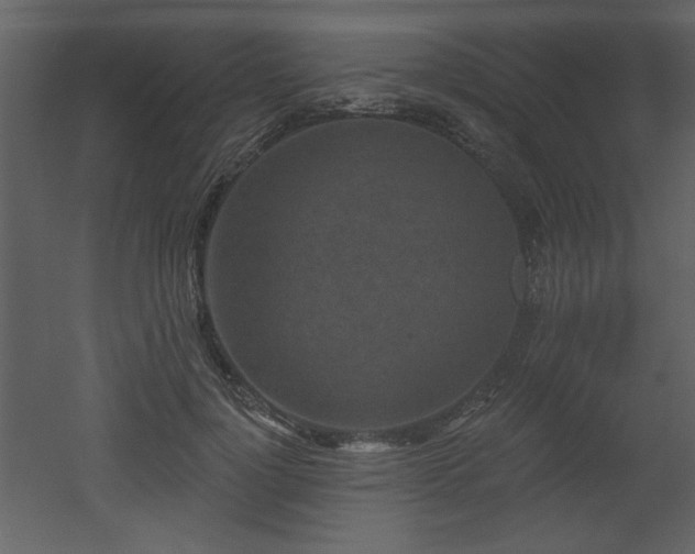 X0000052980748200507081122