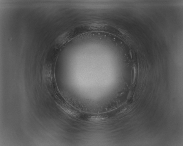 X0000052980749200507081122