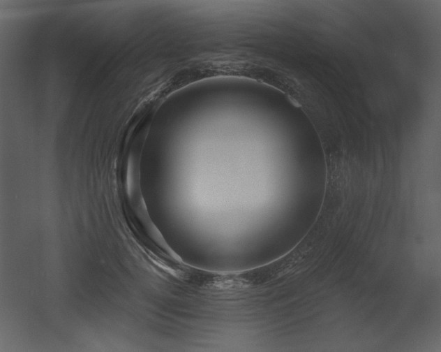 X0000052980752200507081122