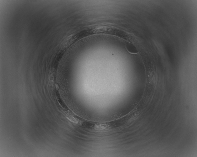 X0000052980753200507081122