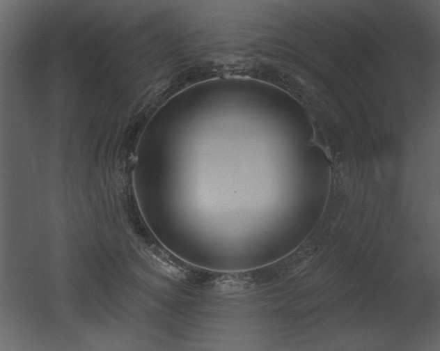 X0000052980756200507081122
