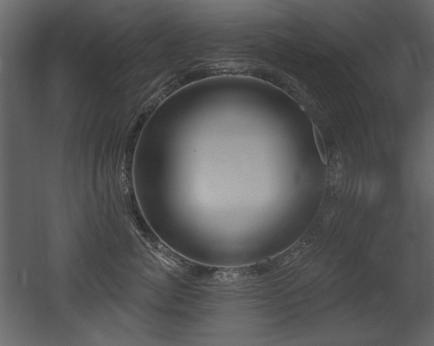 X0000052980764200507081122