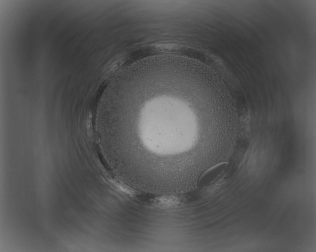X0000052980765200507081122