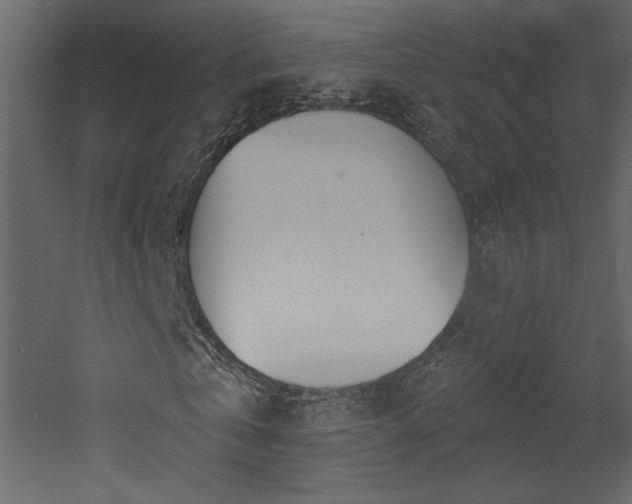 X0000052980769200507081122