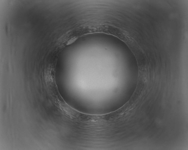 X0000052980770200507081122