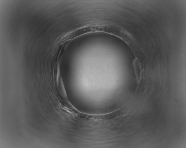 X0000052980773200507081122