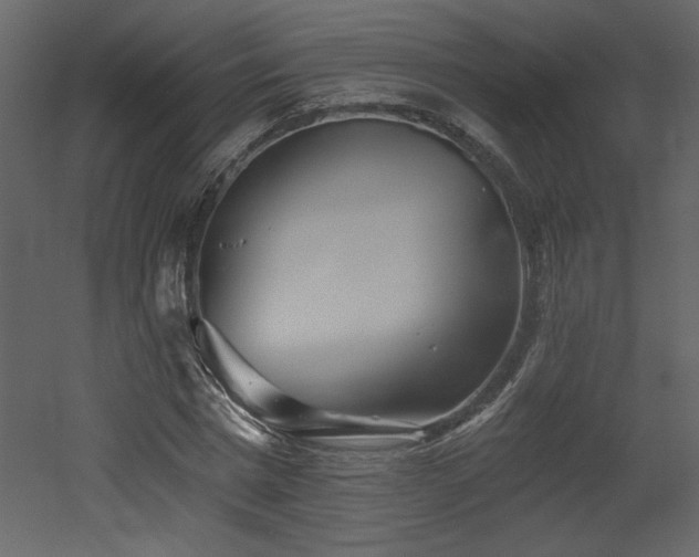 X0000052980777200507081122